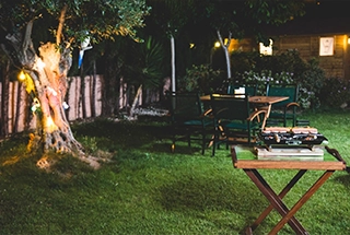 Party Lawn